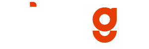 ZingGo Logo